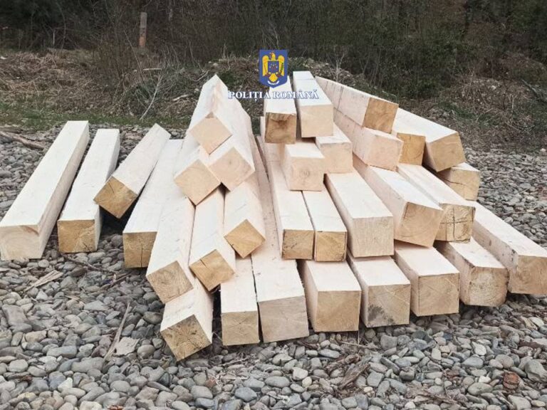 FOTO Cherestea și bușteni în valoare de peste 10.000 lei conficate de către polițiștii din Marginea