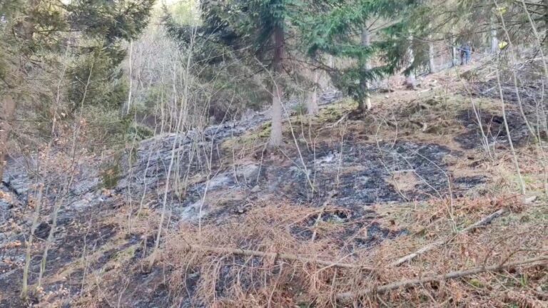 VIDEO Pompierii suceveni au intervenit la 17 incendii de vegetație uscată doar în ultima săptămână