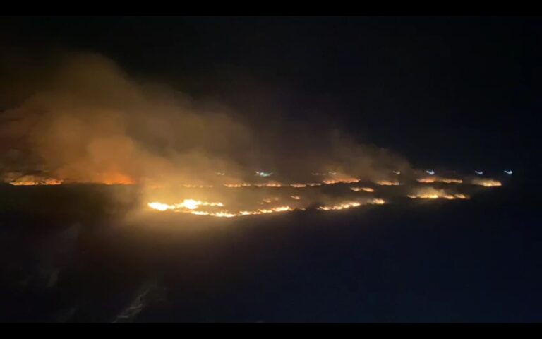 VIDEO Nouă incendii de vegetație uscată stinse de pompieri la sfârșitul săptămânii