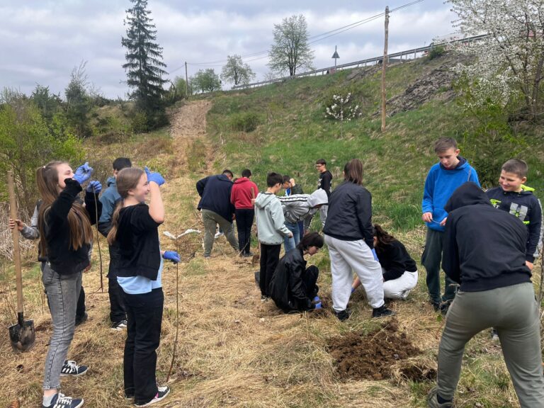 FOTO Elevii din Voitinel au plantat 7.000 de puieți: „Am împădurit 7 hectare de terenuri degradate”