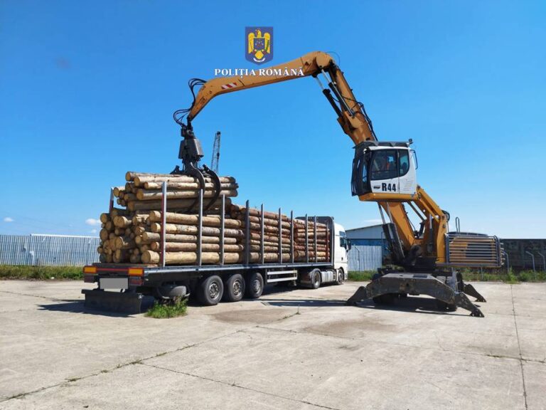 FOTO Un TIR folosit la transportul ilegal de lemne a fost confiscat de polițiști din parcarea celor de la HS Timber Rădăuți