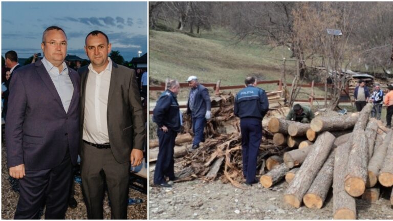 Nereguli descoperite de polițiști la gaterul lui „Nepotul” – Nicolae Ilișeșcu, candidatul PNL la funcția de primar al comunei Mălini
