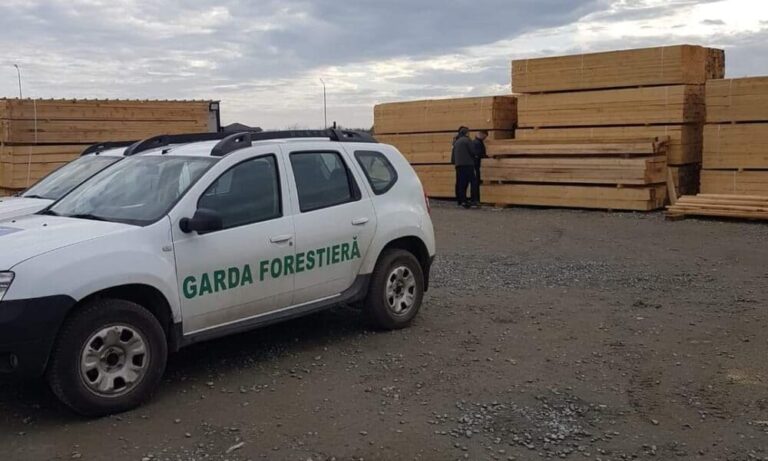 FOTO Nereguli descoperite de Garda Forestieră Suceava în urma unor controale făcute la Mălini și Sucevița