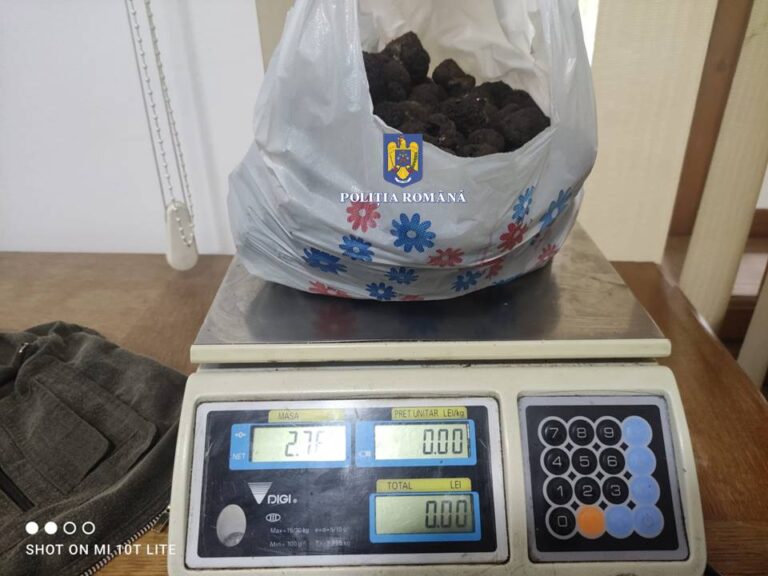 Aproape trei kilograme de trufe culese ilegal dintr-o pădure din Mălini. Polițiștii au aplicat amenzi în valoare de 20.000 de lei