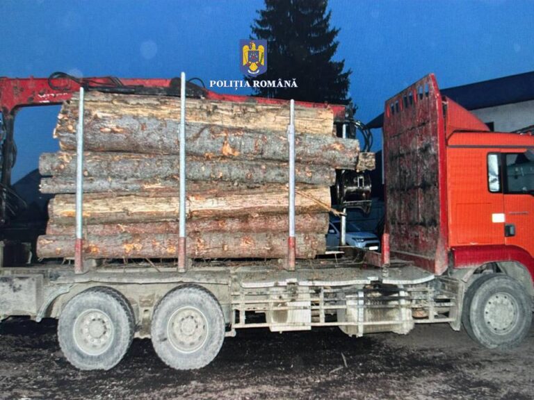 Un camion încărcat cu lemne fără acte a fost confiscat de polițiști, la Mălini
