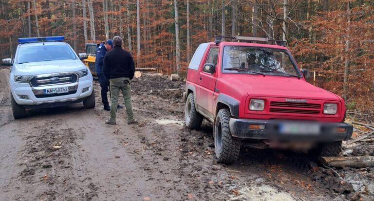 Doi indivizi prinși la cules de trufe au fost săltați de jandarmi dintr-o pădure din Câmpulung Moldovenesc