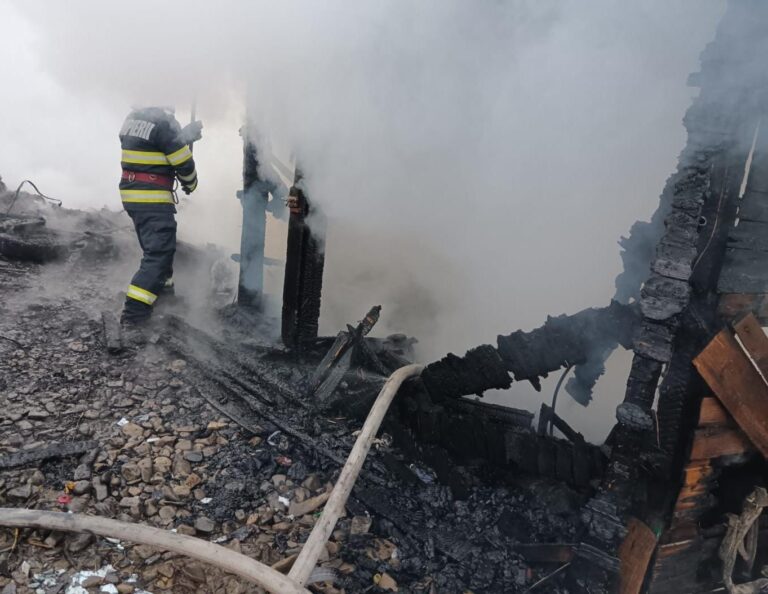 Doi copii de 1 și 3 ani au murit în incendiul de la Voitinel după ce părinții i-au lăsat în grija unei surori de 12 ani