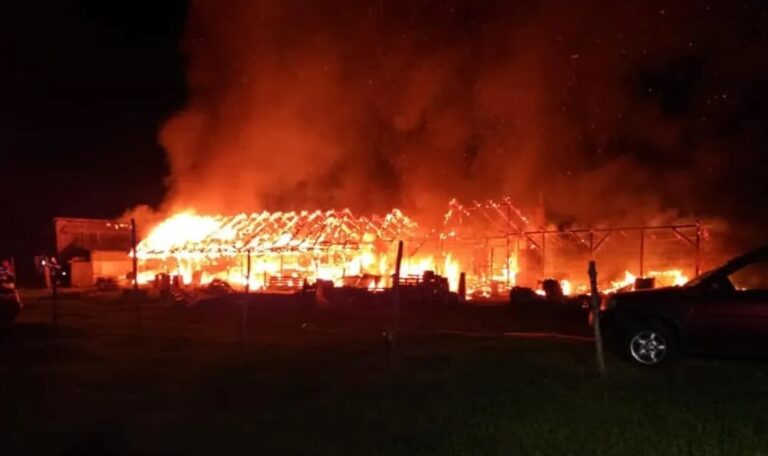 UPDATE Incendiul de la Vornicenii Mici, în care au murit aproximativ 6.000 de porci, a pornit de la o explozie generată de un scurtcircuit la un conductor electric defect