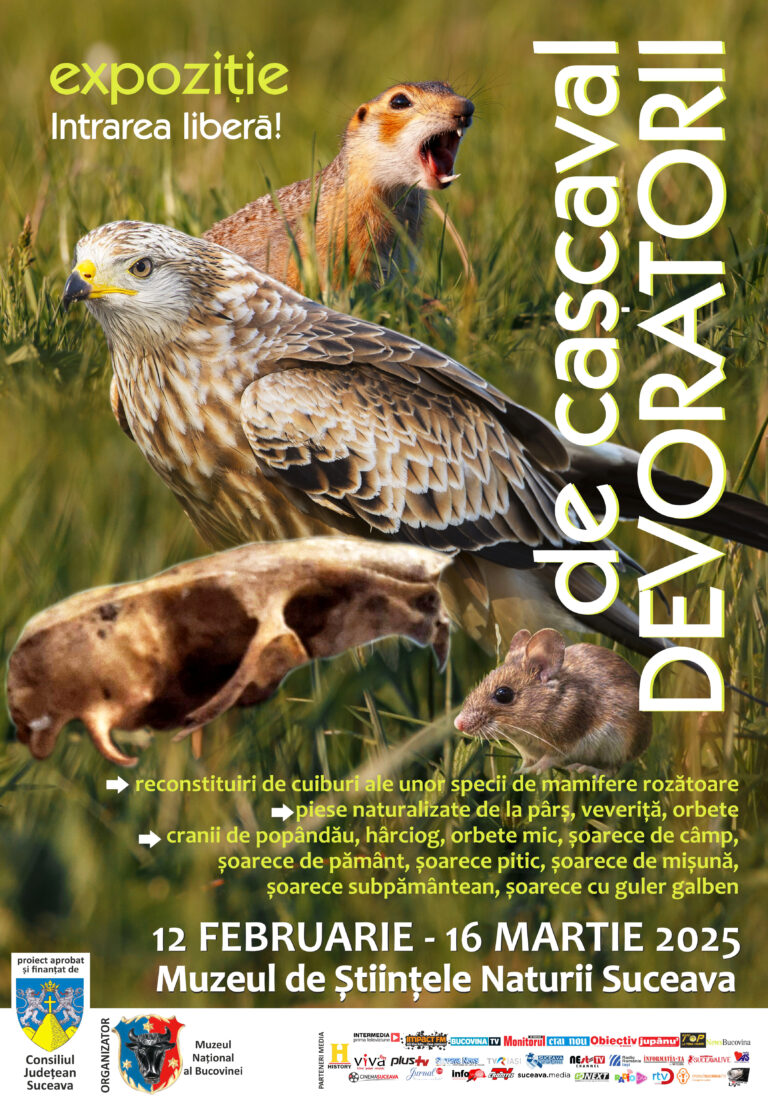 DEVORATORII DE CAȘCAVAL – expoziție cu intrarea liberă, la Muzeul de Științele Naturii din Suceava