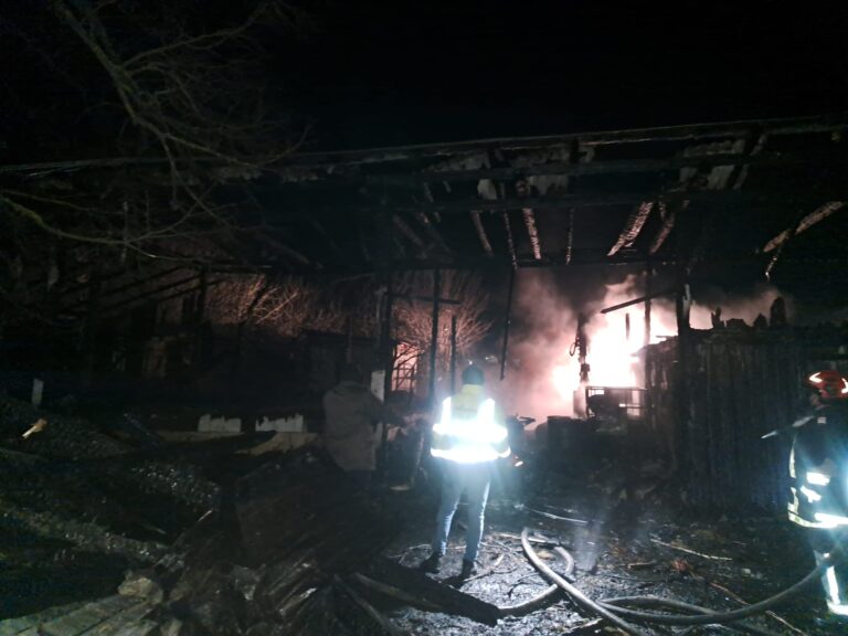 Incendiu de proporții izbucnit într-o gospodărie din Cajvana. Două vaci, opt porci și două oi au murit în deflagrație