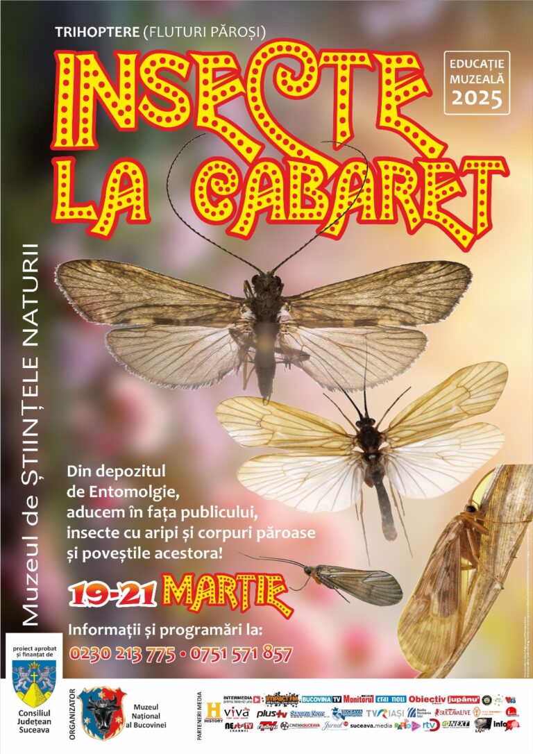 Insecte la cabaret – Trihoptere, oră de muzeu la Muzeul de Științele Naturii din Suceava