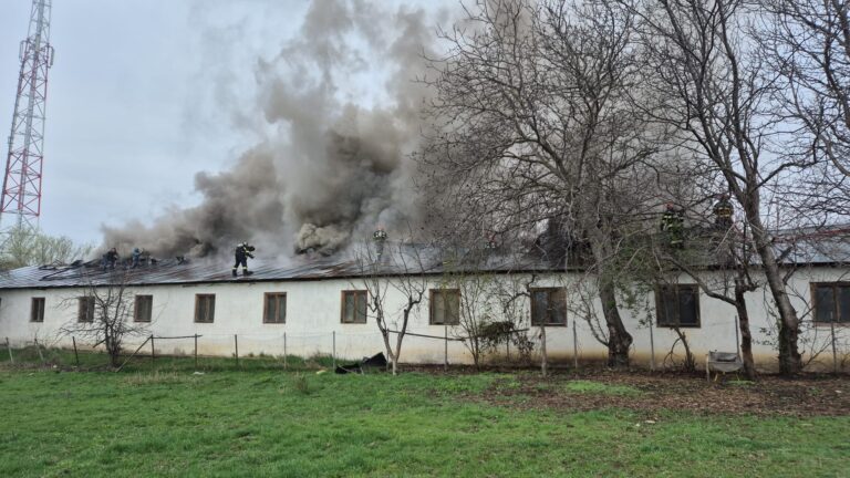 Pagube de aproximativ 300.000 de lei produse în urma incendiului ce a cuprins un atelier de mobilă din Ipotești