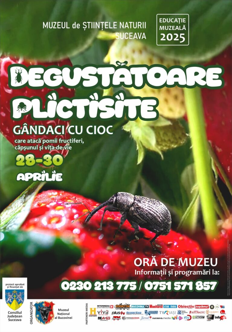 „Degustătoare Plictisite”: O incursiune în lumea gărgărițelor și a gândacilor cu cioc, oră de muzeu la Muzeul de Științele Naturii
