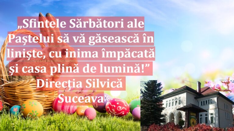 „Sfintele Sărbători ale Paștelui să vă găsească în liniște, cu inima împăcată și casa plină de lumină!” | Direcția Silvică Suceava