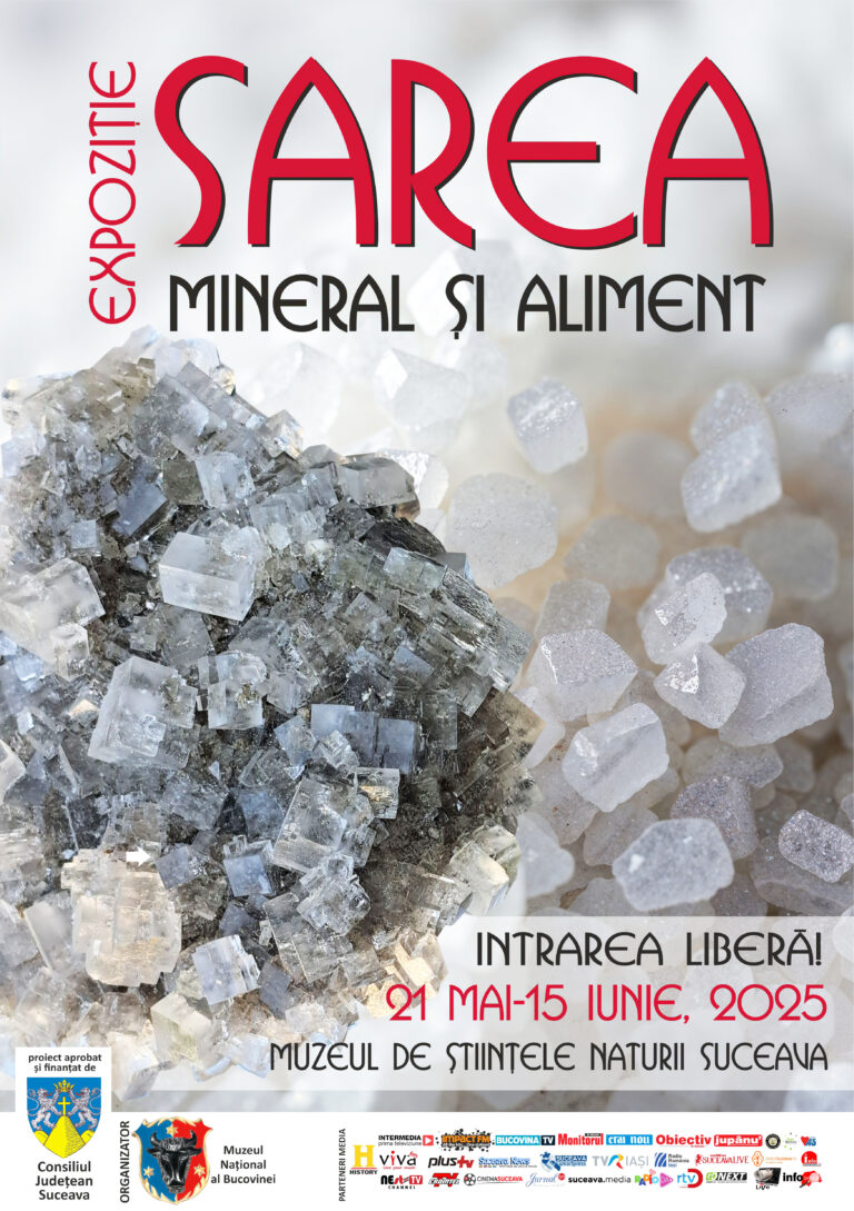 „Sarea – mineral și aliment”, o nouă expoziție organizată de Muzeul Național al Bucovinei la Muzeul de Științele Naturii din Suceava