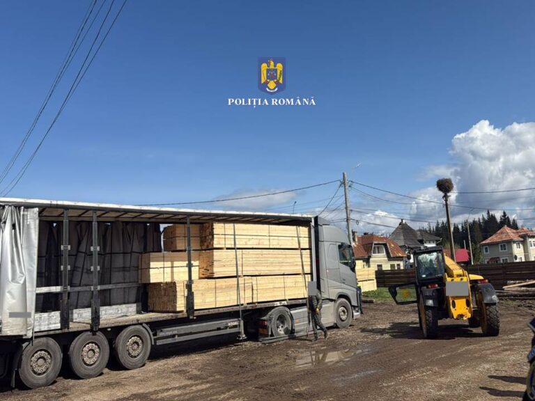 Un TIR de 100.000 de euro al  firmei SC Trans Luky SRL, care transporta cherestea fără acte în valoare de 35.000 de lei, a fost confiscat de polițiști, la Poiana Stampei