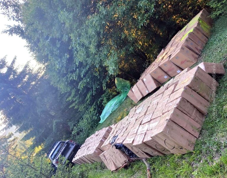 Țigări de contrabandă în valoare de peste 1,7 milioane de lei găsite ascunse într-o pădure din Costileva