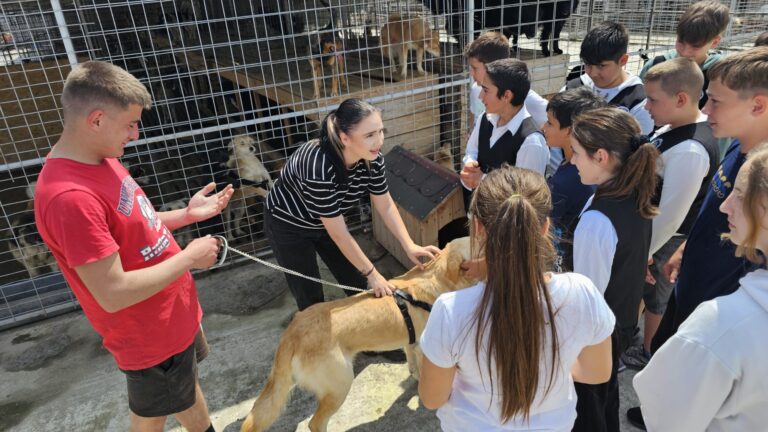 Elevii din Drăgoiești, eroi pentru animalele fără adăpost. Lecție de solidaritate la „Imperiul Cățeilor”: „Fiecare gest contează pentru aceste suflete care depind de noi”