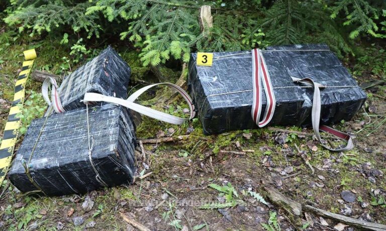 Țigări de contrabandă în valoare de peste 150.000 de lei, abandonate într-o pădure din Straja