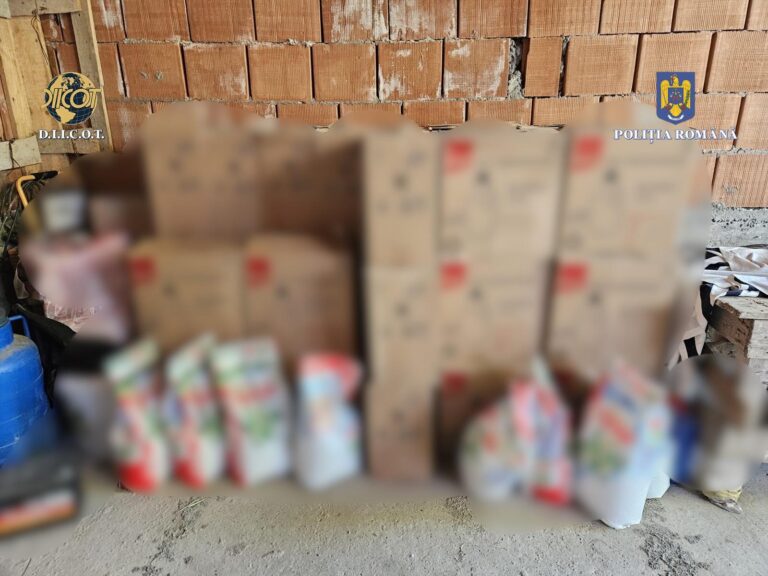 Percheziții făcute de DIICOT în județul Suceava într-un dosar de contrabandă cu detergent