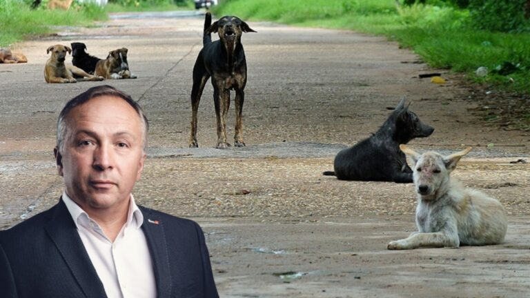 DIC, viceprimarul Sucevei, acuzații dure, fără probe, la adresa adăpostului Imperiul Cățeilor de la Berchișești. Prostie sau comandă?