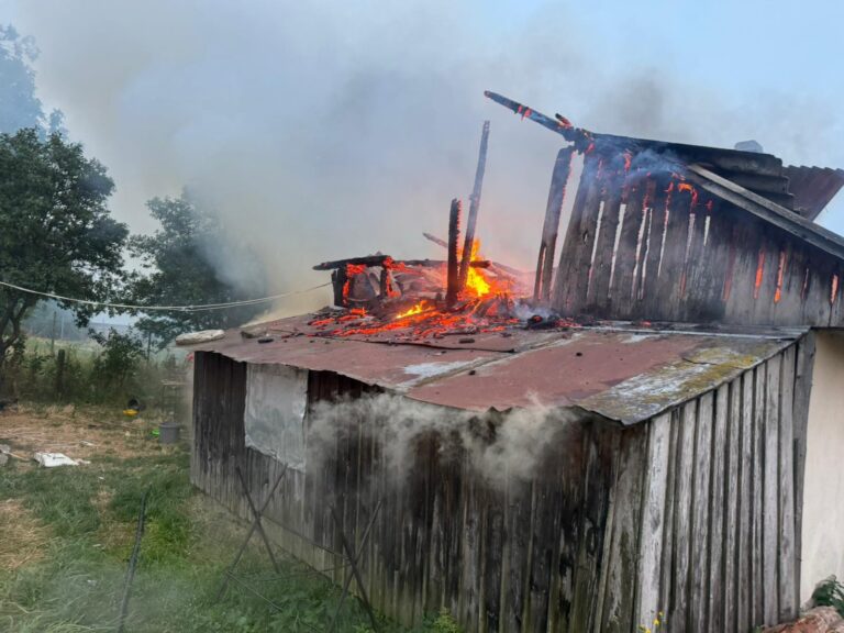 Casă mistuită de flăcări la Zvoriștea. Proprietarul, aflat în sevraj etanolic, a fost internat la Psihiatrie