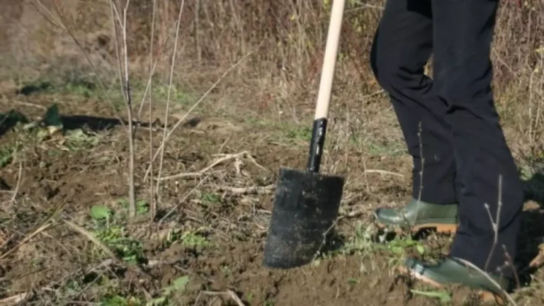 Un bărbat din Frasin s-a ales cu un dosar penal după ce și-a amenințat o vecină cu lopata