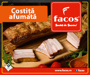 Facos Suceava