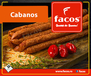 Facos Suceava Facos Suceava
