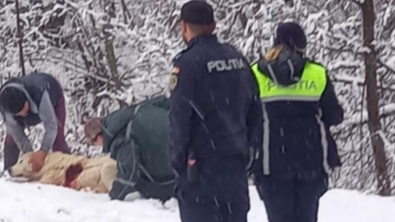 Un paznic de vânătoare este cercetat penal după ce ar fi împușcat un câinele ciobănesc al unui bărbat din Frumosu. Polițiștii au ridicat 5 arme și 66 de cartușe