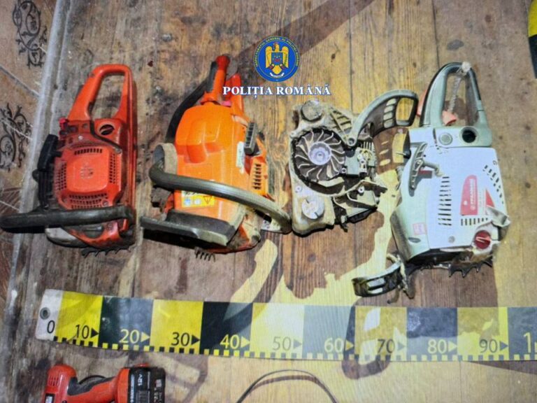 Doi hoți care acționau pe raza localităților Vama, Moldovița, Stulpicani și Frasin au fost reținut de polițiști