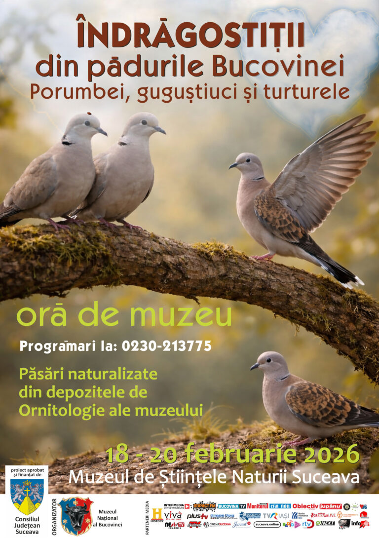 Muzeul Național al Bucovinei vă invită să participați la lecția de muzeu „Îndrăgostiții din pădurile Bucovinei”, o activitate educativă  organizată cu ocazia sărbătorii Dragobetelui