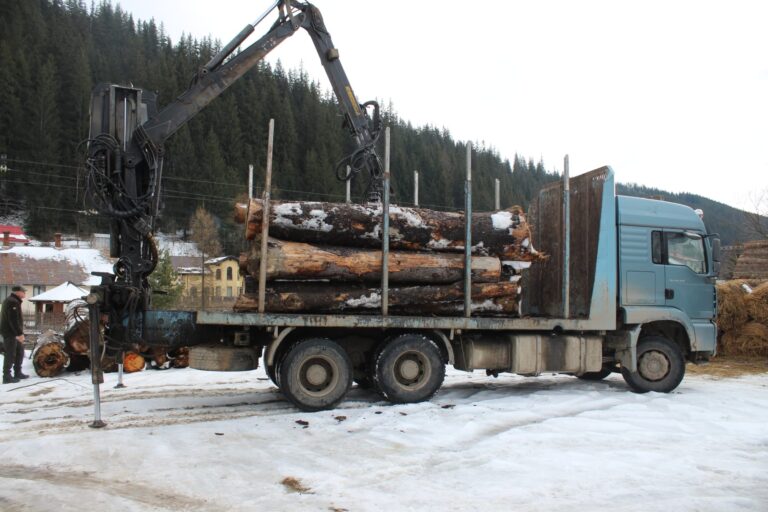 Un camion folosit la transportul ilegal de lemne a fost confiscat de polițiștii din Vatra Dornei. Oamenii legii au descoperit și mai multe nereguli la gaterul deținut de proprietarul vehiculului