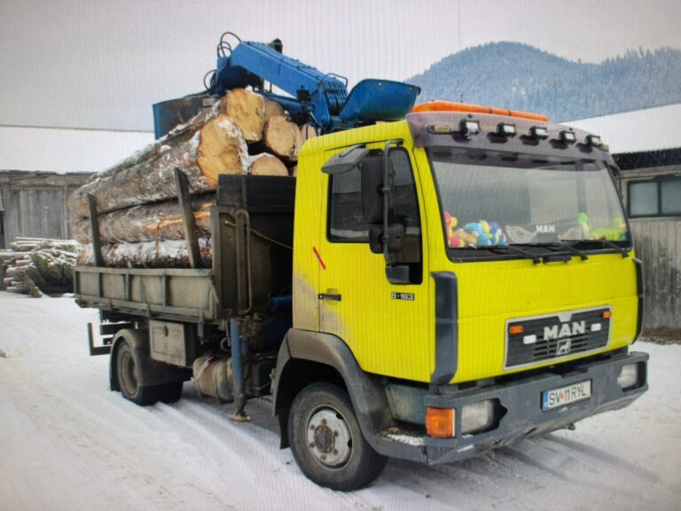 Camion folosit la transportul ilegal de lemne a fost confiscat de polițiști, la Moldova Sulița