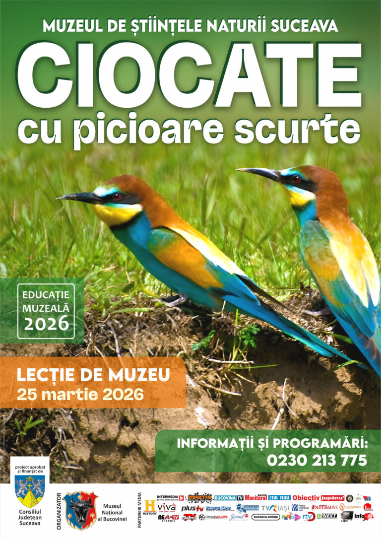 Vestitorii primăverii își dau întâlnire la Muzeul de Științele Naturii din Suceava – „Ciocate cu picioare scurte”, o lecție fascinantă despre păsările insectivore