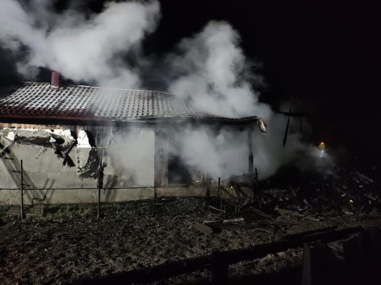 Un incendiu de proporții, pornit de la un cablu electric defect, a distrus o gospodărie din Bădeuți