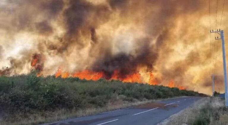 Trei hectare de pășune pârjolite din cauza unui foc lăsat nesupravegheat la Argel. Un localnic s-a ales cu un dosar penal