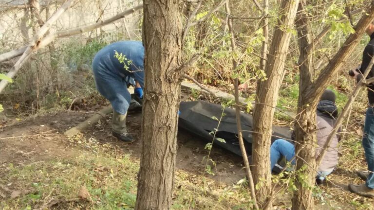 Un tânăr care suferea de depresie majoră s-a spânzurat în pădurea de la Cartodrom