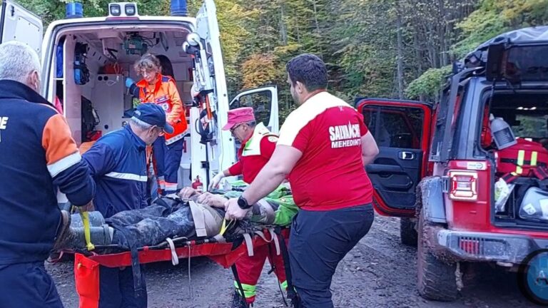 Un muncitor silvic a ajuns în stare gravă la spital după ce a fost lovit de un copac rupt de vânt, într-o pădure din Moldovița