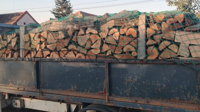 Transport ilegal de lemne depistat de polițiști, la Vadu Moldovei