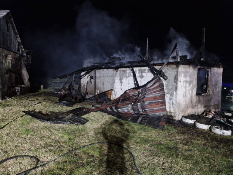 Tragedie la Ilișești. O adolescentă de 15 ani a murit într-un incendiu care a cuprins locuința familiei