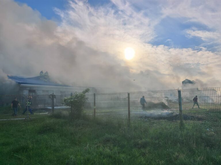 Incendiu puternic la o fermă din Milișăuți, în urma căruia aproximativ 50 de porci au murit. Focul a pornit de la o țigară