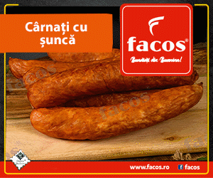 Facos Suceava