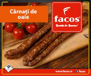 Facos Suceava