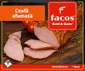 Facos Suceava