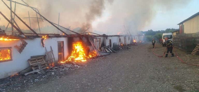 Peste o mie de animale și păsări au ars de vii într-un incendiu devastator la un fost CAP din Drăgușeni. Focul a pornit de la un scurtcircuit la sistemul de ventilație și a mistuit un grajd de peste o mie de metri pătrați
