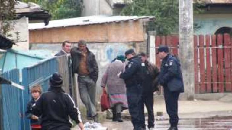 Bătaie generală în stradă la Mironu, pornită de la un câine lăsat liber. A fost nevoie de intervenția jandarmilor și a mascaților, iar amenzile aplicate au depășit 58.000 de lei