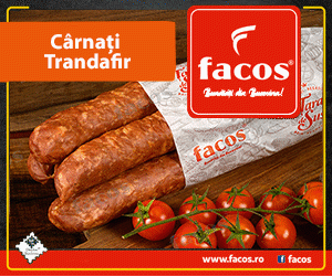 Facos Suceava