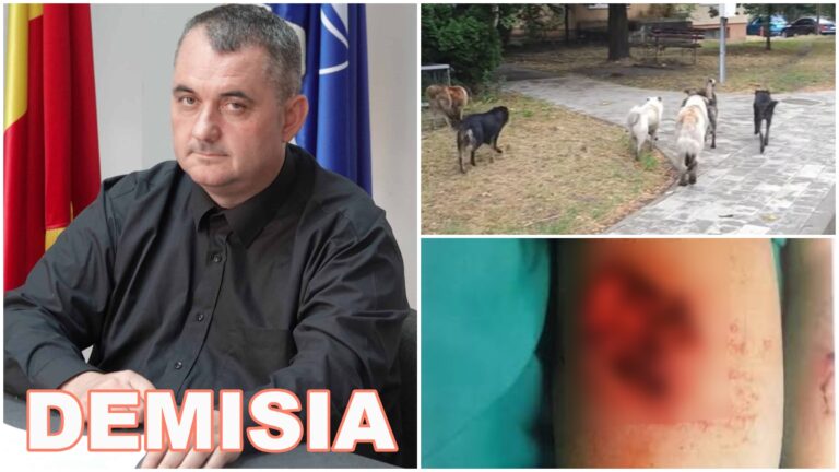Măcelul tăcut de pe străzile Sucevei. Mihai Voloșeniuc, DEMISIA! Peste 1.000 de oameni au fost mușcați de câini și sute copii au ajuns la UPU în ultimii doi ani și jumătate, sub privirile unui director depășit total de situație