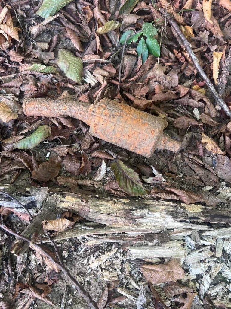 O grenadă din cel de-Al Doilea Război Mondial a fost găsită de un bărbat în timp ce culegea bureți într-o pădure din Ciocănești
